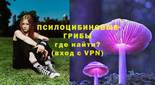 дмт Алексеевка