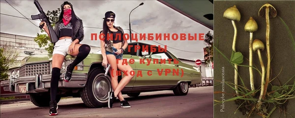 меф Алексин