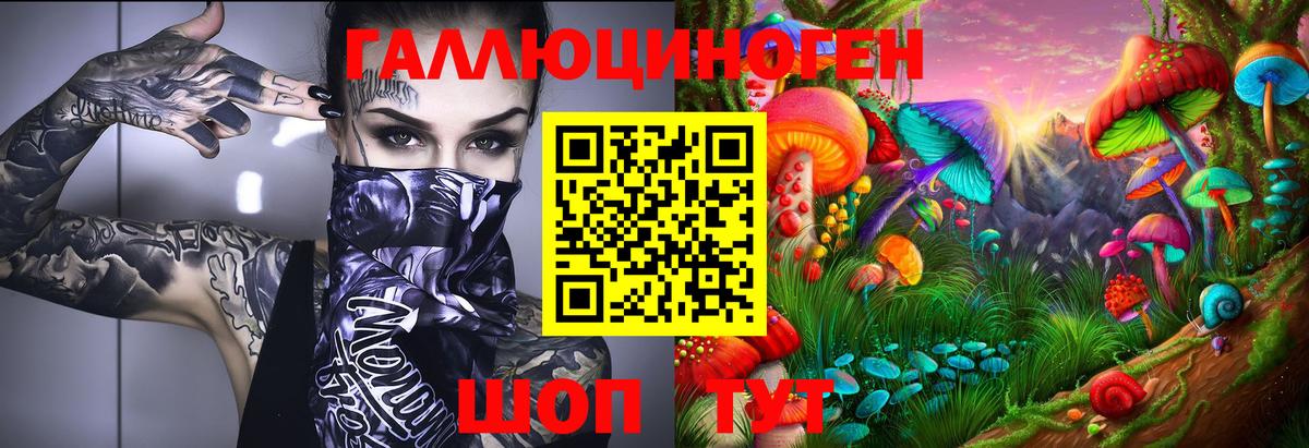 наркота  Вход с VPN  Апатиты  Псилоцибиновые грибы Psilocybe 