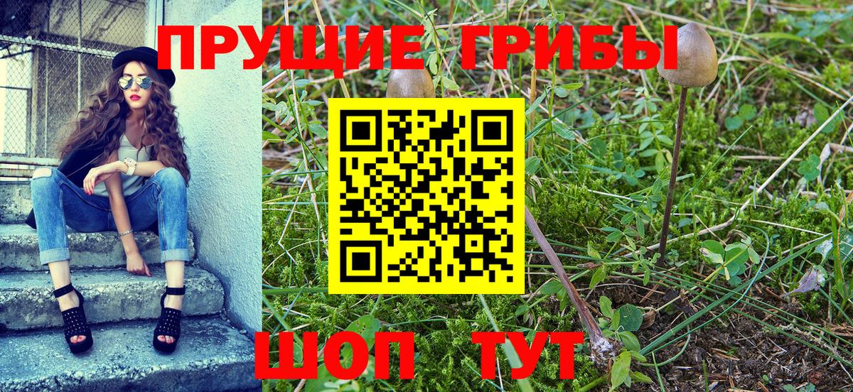 Галлюциногенные грибы Magic Shrooms  Галлюциногенные грибы мухоморы  Вход с VPN  как найти закладки  Апатиты 
