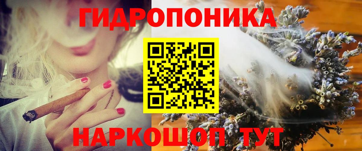Конопля гибрид Апатиты