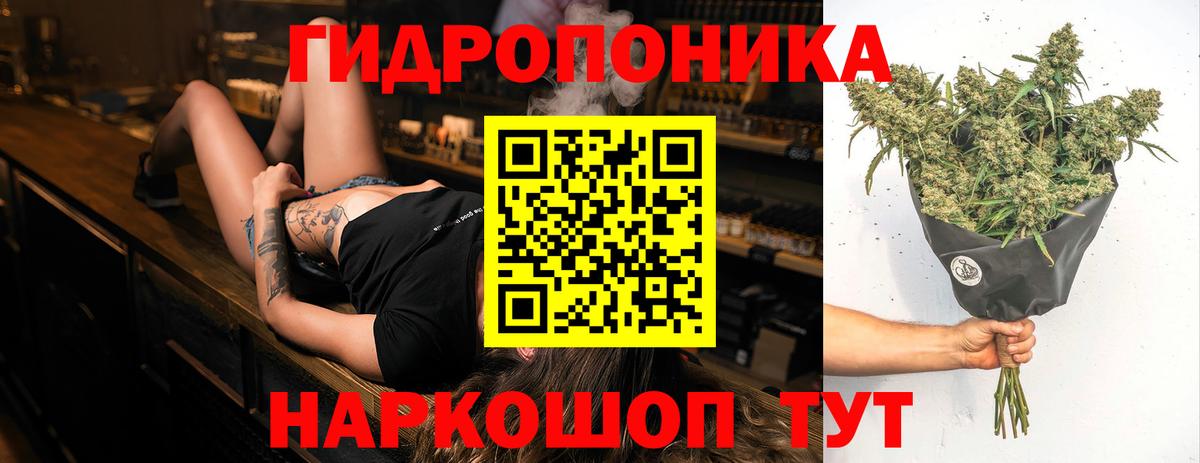 Апатиты  Бошки марихуана тримм  Вход с VPN  Канабис Ganja 